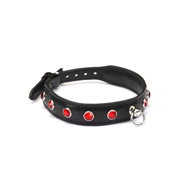 Liebe Seele Premium Leather Choker with Red Gemstone detailing and metal ring for bondage play