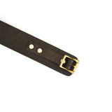 Samurai: Thick Leather Collar with Leash