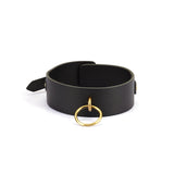 Samurai: Thick Leather Collar with Leash