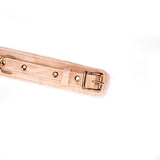 Boudoir Amor: Pink Collar with Gold Chain Leash