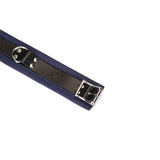 Cerulean Dominion: Blue Leather Collar with Chain Leash