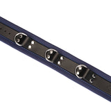 Cerulean Dominion: Blue Leather Collar with Chain Leash