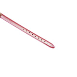 Lustre Rosa: Pink Leather Collar with Chain Leash