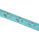 Siren's Cove: Lamb Leather Collar with Velvet Lining and Leash