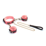 Italian Leather Wrist to Collar Set in red with golden chain link and black handle, adjustable buckle straps for comfortable fit