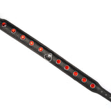 Liebe Seele premium leather choker with red gemstones, featuring adjustable buckle and sleek design, ideal for SM plays and fashion accessories