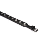 Liebe Seele Premium Leather Choker with Diamonds Black, elegant accessory for fashion and bondage play