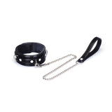 Metallic Shade: Vegan Collar with Leash