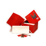 LIEBE SEELE bondage gear packaging with red gift box, white fabric pouch, and product manual featuring a fetish play image