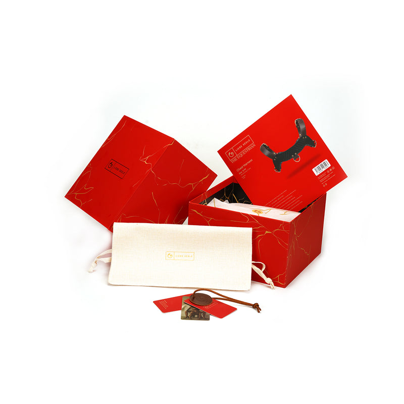 Luxury bondage gear kit from LIEBE SEELE featuring a red box with harness illustration, accompanied by a white pouch, metal lock and keys, and identification tag.