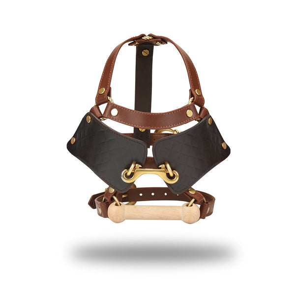 Luxury leather blinder and gag for pony play from The Equestrian collection, showcasing dark and light brown leather with vintage gold metal details and a wooden bit