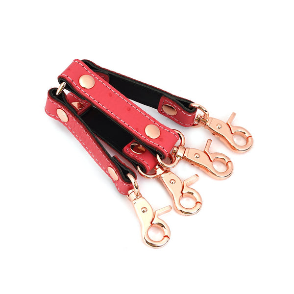 Cherry Blossom Pink Leather Hog Tie with Rose Gold Hardware from Angel's & Demon's Kiss Collection