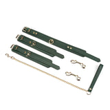 Mossy Chic Leather Collar to Wrist Cuffs Set with gold hardware and secure attachment clips on white background