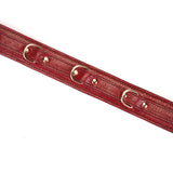 Limited Edition：Italian Blood Red- Leather Collar with Chain Leash