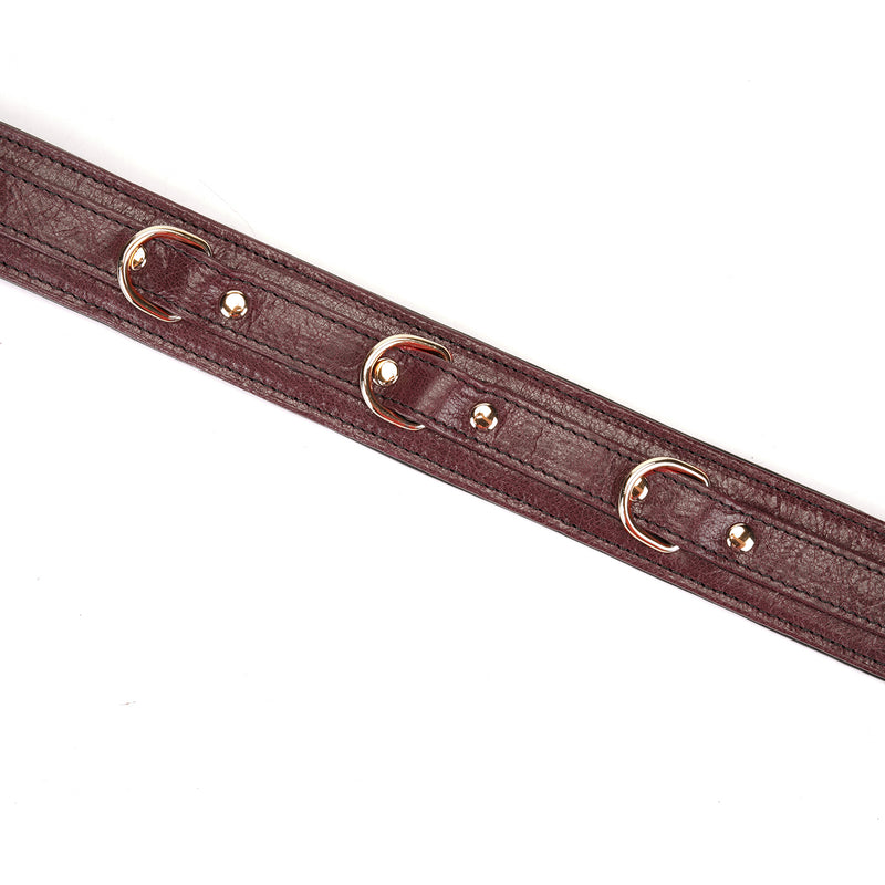 Limited Edition: Italian Dark Red- Leather Collar with Chain Leash