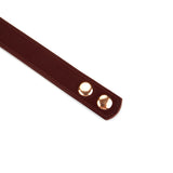 Metallic Shade : Vegan Collar with Nipple Clamps
