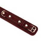 Metallic Shade: Vegan Collar with Leash