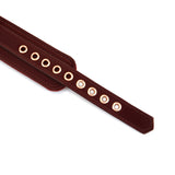 Metallic Shade: Vegan Collar with Leash
