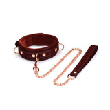 Metallic Shade: Vegan Collar with Leash