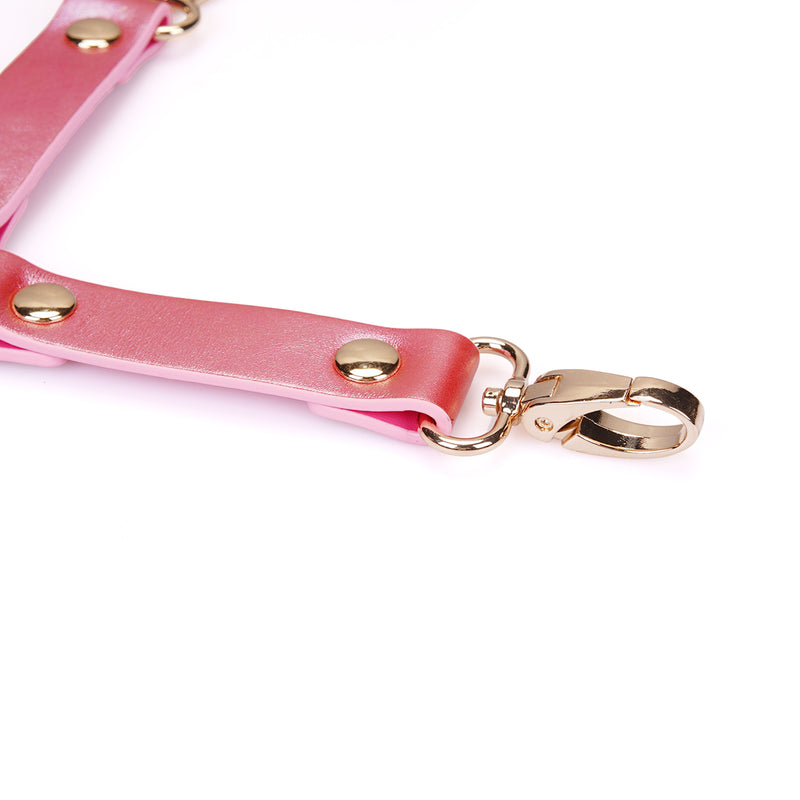 Lustre Rosa: Pink Leather Hogtie with Clips