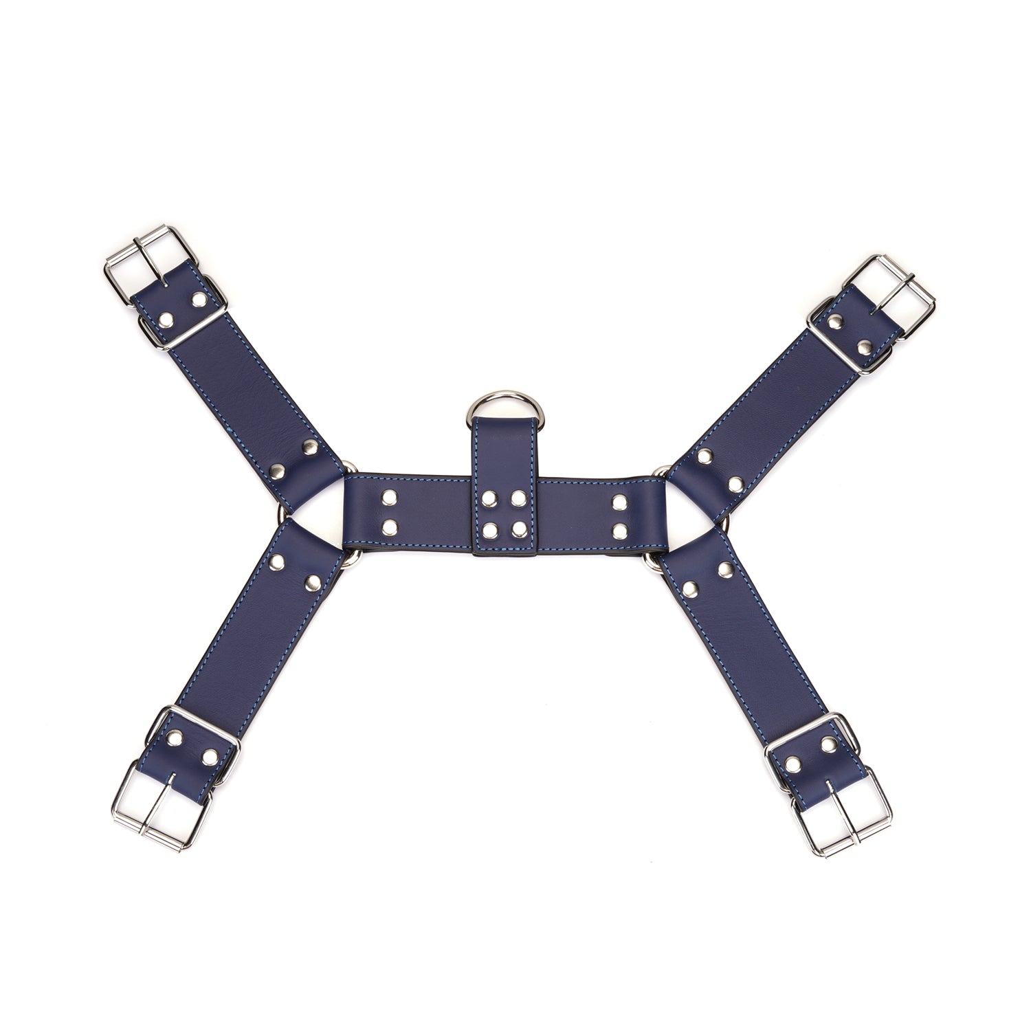 Cerulean Dominion Leder Harness Herren. Premium Leder Harness für Herren in Blau. Verstellbar, hochwertig und stilvoll – ideal für Fetish, Fashion und besondere Auftritte. Jetzt entdecken!. Exklusive bei RaiX Shop Konstanz kaufen