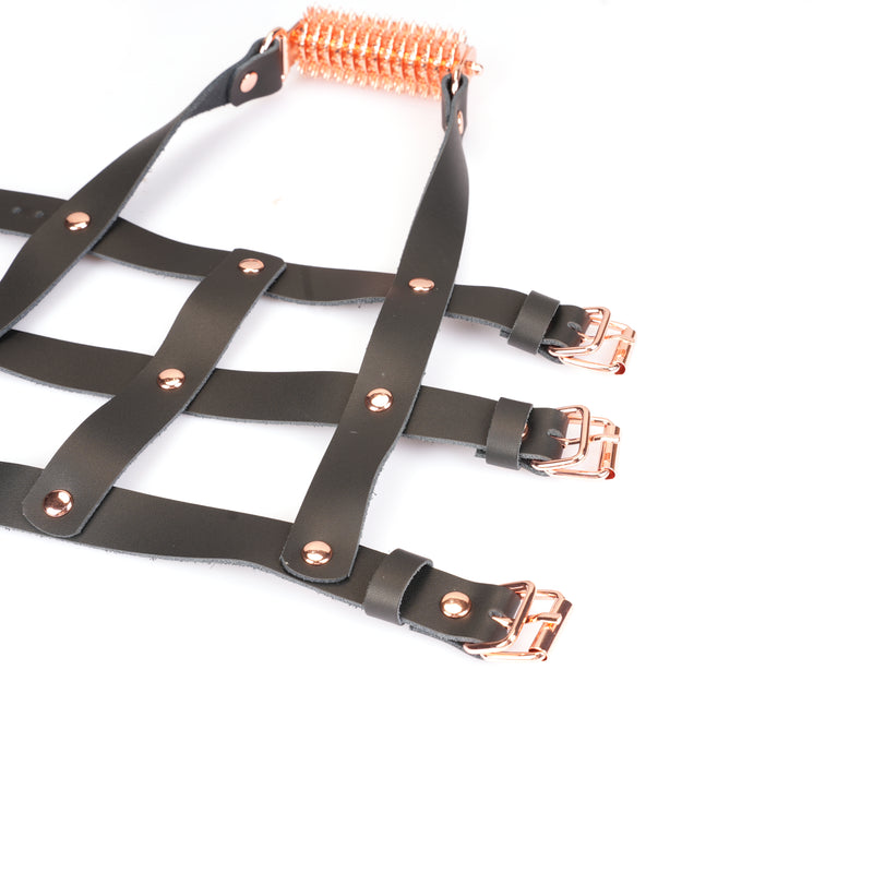 Leather High Heel Ankle Harness