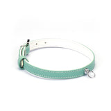 Liebe Seele premium leather choker in mint green with O-ring, perfect for dopamine fashion trend