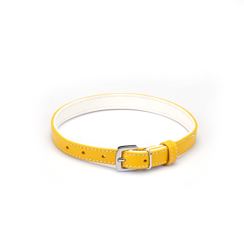 Liebe Seele premium yellow leather choker with silver buckle and adjustment holes for fashion and bondage play