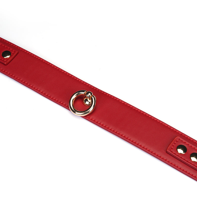 Close-up of red faux leather collar with metal ring and adjustable holes, item CL-80866RD