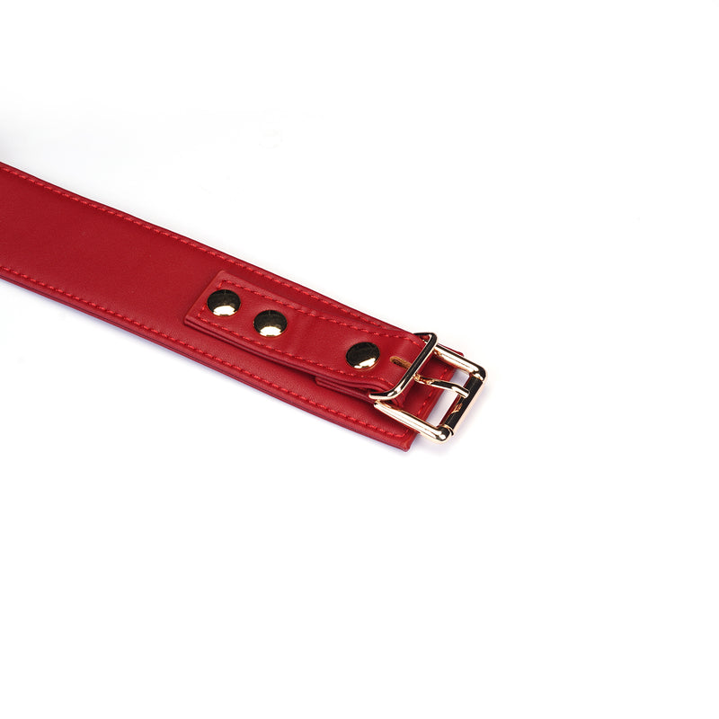 Red faux leather collar with metal buckle and adjustable holes for bondage play