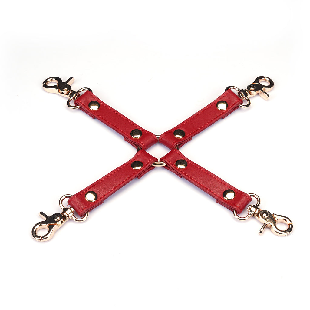 Crimson Desire Faux Leather Hogie