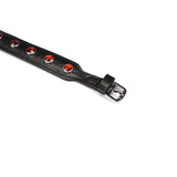 Liebe Seele premium leather choker with red gemstones for BDSM play and fashion accessorizing, SKU# CL-80891BK