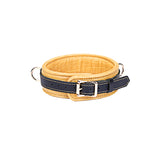 FLASH RETAIL: Adjustable Multi-Leather Collar with Leash | Dual-Tone Luxury