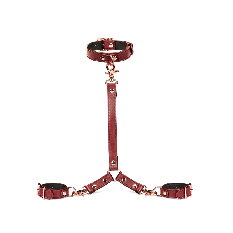 Wine Red: Collar and Wrist Restraint Harness