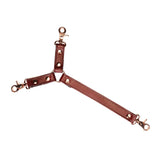 Wine Red: Collar and Wrist Restraint Harness