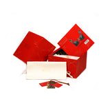 Luxury packaging of The Equestrian leather bra, featuring a red and gold box with product image, alongside a branded storage bag and decorational padlock