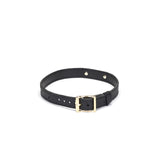 Elegant black leather 'Slut' choker with gold buckle and ostrich skin pattern, part of the Angel's & Demon's Kiss BDSM collection