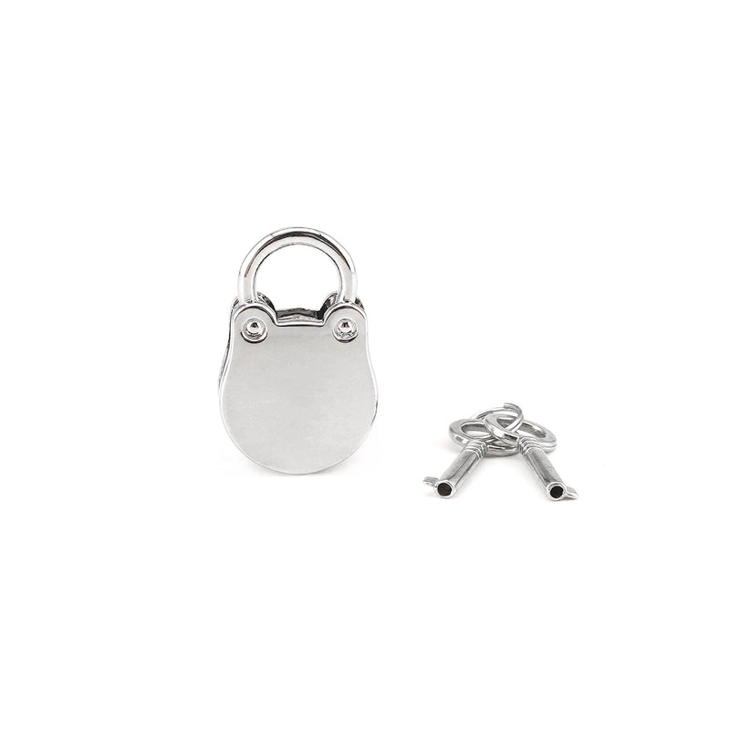 Silver Lock (Two Pieces A Set)